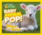 Sarah W Flynn, Sarah Wassner Flynn, National Geographic, National Geographic Kids, National Geographic&gt; - Baby Animal Pop!