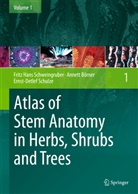 Annet Börner, Annett Börner, Schulze, Ernst-Detlef Schulze, Fritz H. Schweingruber, Fritz Han Schweingruber... - Atlas of Stem Anatomy in Herbs, Shrubs and Trees. Vol.1