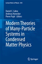 Daniel C. Cabra, Andrea Honecker, Andreas Honecker, Pierre Pujol - Modern Theories of Many-Particle Systems in Condensed Matter Physics