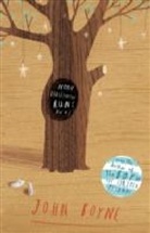 John Boyne - Noah Barleywater Runs Away