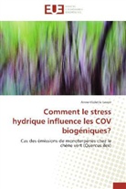 Anne-Violette Lavoir, Lavoir-A - Comment le stress hydrique