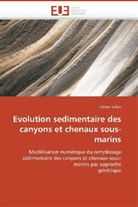 Tristan Salles, Salles-T - Evolution sedimentaire des