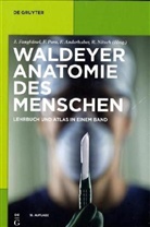 Anton Waldeyer, Jochen Fanghänel, Franz Pera - Anatomie des Menschen