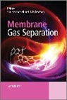 B Freeman, B. D. (Benny D. ). Freeman, Benny Freeman, Benny (EDT)/ Yampolskii Freeman, Benny (University of Texas At Austin Freeman, Benny Yampolskii Freeman... - Membrane Gas Separation
