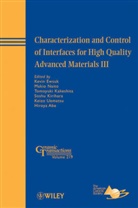 Abe, Hiroya Abe, Acers, Ewsuk, Kevin (Sandia National Laboratories) Naito Ewsuk, Kevin G. Ewsuk... - Characterization and Control of Interfaces for High Quality Advanced