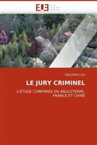 Pengpeng Shi, Shi-P - Le jury criminel