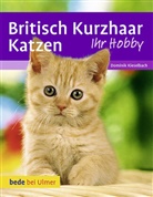 Anita Betz, Heidi Betz, Domini Kieselbach, Dominik Kieselbach - Britisch Kurzhaar Katzen