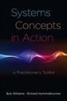 Richard Hummelbrunner, Bob Williams, Bob/ Hummelbrunner Williams - Systems Concepts in Action