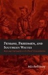 Mitchell Snay - Fenians, Freedmen, and Southern Whites