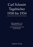 Carl Schmitt, Wolfgan Schuller, Wolfgang Schuller - Carl Schmitt: Tagebücher: 1930 bis 1934