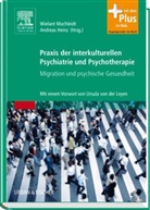 Hein, Heinz, Andreas Heinz, Machleid, Wielan Machleidt, Wielant Machleidt - Praxis der interkulturellen Psychiatrie und Psychotherapie