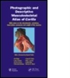 Rui (Howard University Diogo, Rui Potau Diogo, Mercedex Barbosa, Barbosa Mercedex, Gaelle Bello, Bello Gaelle... - Photographic and Descriptive Musculoskeletal Atlas of Gorilla