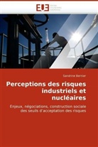 Sandrine Bernier - Perceptions des risques industriels et nucléaires