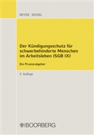 Christop Beyer, Christoph Beyer, Rainer Seidel - Kündigungsschutz für schwerbehinderte Menschen SGB IX