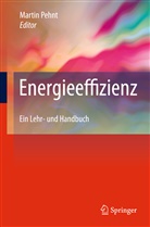 Marti Pehnt, Martin Pehnt - Energieeffizienz