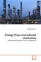 Surender Kumar - Energy Prices and Induced Innovation
