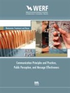 Rula A Deeb, Rula A. Deeb - Communication Principles Practices, Public Perception Message