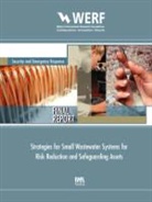 Charles Herrick, Charles N. Herrick - Strategies for Small Wastewater Systems for Risk Reduction