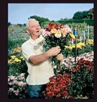 Andrew Buurman, Andrew Buurman - Allotments