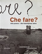 Bätzner, N Bätzner, Disch, M Disch, Maddalena Disch, C Grenier... - Che fare? Arte povera