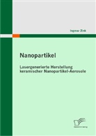 Ingmar Zink - Nanopartikel