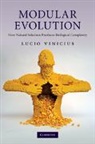 Lucio Vinicius, Lucio (University of Cambridge) Vinicius, Vinicius Lucio - Modular Evolution
