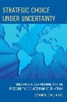 Mzamo Mangaliso, Mzamo P. Mangaliso, Mangaliso Mzamo P. - Strategic Choice Under Uncertainty
