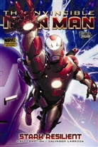 Matt Fraction, Salvador Larroca - Invincible Iron Man