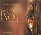Jim Brandenburg - Bruder Wolf