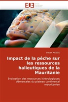 Beyah MEISSE, Meisse-B - Impact de la peche sur les