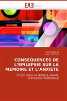 Collectif, Julien DETOUR, Astri NEHLIG, Astrid Nehlig - Consequences de l epilepsie sur
