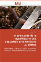 Céline Pelosi, Pelosi-C - Modelisation de la dynamique d