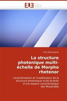 Julie Boulenguez, Boulenguez-J - La structure photonique multi