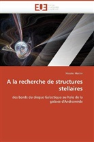Nicolas Martin, Martin-N - A la recherche de structures