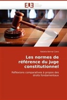 Natalia Bernal Cano, Cano-N - Les normes de reference du juge