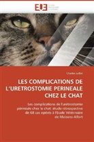 Charles Juillet, Juillet-C - Les complications de l