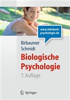Birbaume, Niels Birbaumer, Schmidt, Robert F Schmidt, Robert F. Schmidt, BITmap GmbH - Biologische Psychologie