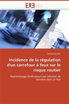 Nicolas Saunier, Saunier-N - Incidence de la regulation d un