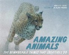 W. Allan Hancock, W. Allan (ILT)/ Ruurs Hancock, Margriet Ruurs, Ruurs Margriet, W. Allan Hancock, Hancock W. Allen - Amazing Animals