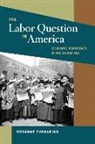 Rosanne Currarino - Labor Question in America