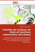 Mathilde Lahaye-Hitier, Lahaye-hitier-m - Familles de surfaces de klein et