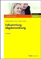 Ramona Andrascek-Peter, Wernher Braun, Rainer Friemel - Fallsammlung Abgabenordnung