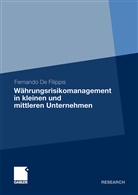 Fernando De Filippis - Währungsrisikomanagement in kleinen und mittleren Unternehmen