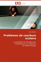 Farid Madani, Madani-F - Problemes de courbure scalaire