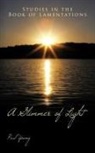 Paul Young - A Glimmer of Light