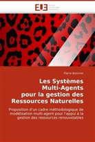 Pierre Bommel, Bommel-P - Les systemes multi agents pour la