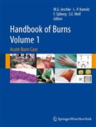 David N. Herndon, Marc G. Jeschke, Lars-Pete Kamolz, Lars-Peter Kamolz, Folke Sjöberg, Folke Sjöberg et al... - Handbook of Burns. Vol.1