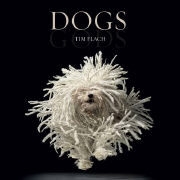 Tim Flach, Tim Flach - Dogs Gods