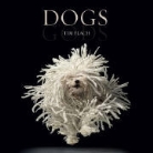 Tim Flach, Tim Flach - Dogs