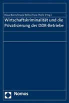 Klaus Boers, Ursula Nelles, Hans Theile - Wirtschaftskriminalität und die Privatisierung der DDR-Betriebe